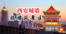 男人把尿尿逼逼的视频中国陕西-西安城墙旅游风景区